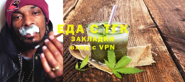индика Абаза