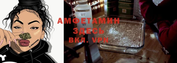 амф Протвино