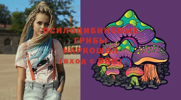 индика Абаза