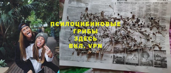 spice Покачи