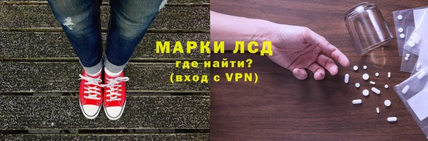 индика Абаза