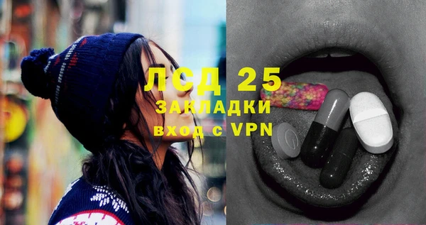 индика Абаза