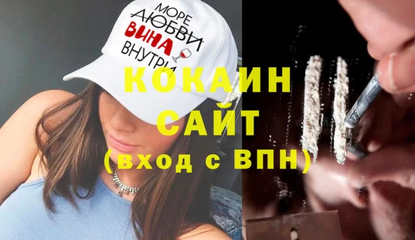 индика Абаза