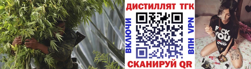 Дистиллят ТГК концентрат  ОМГ ОМГ сайт  Емва  купить наркотик 